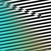 GIF by Michel Poisson