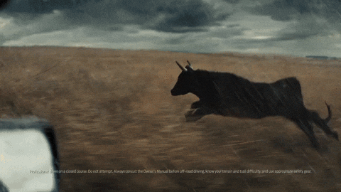 Build Trucks GIF by Ford