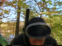 season 2 GIF