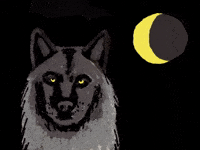 Crescent Moon Wolf GIF by Barbara Pozzi
