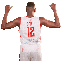 Sport Basketball Sticker by Cholet Basket
