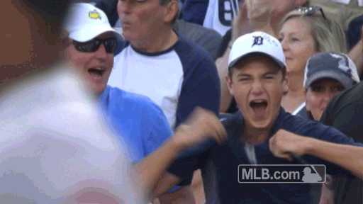 Major League Baseball Reaction GIF by Detroit Tigers