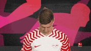 Posing Line Up GIF by Bundesliga