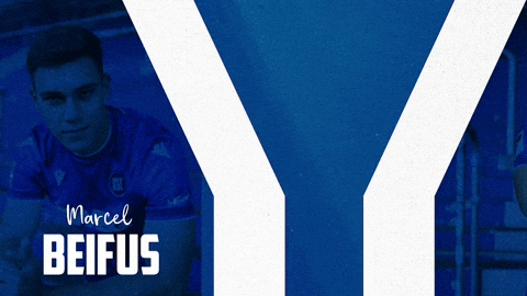 Soccer Bundesliga GIF by Karlsruher SC