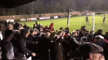 Celebration GIF by Dorking Wanderers Football Club