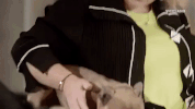 dog GIF by MOST EXPENSIVEST
