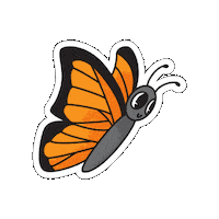 Butterfly Monarch Sticker by Parks Conservancy