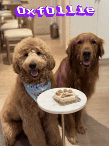 Oxfollie GIF by Unlimited Books PH