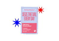 Independence Day Drinking Sticker by No Days Wasted