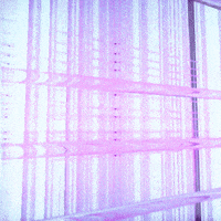 motion design spazz GIF by hamasakihaus
