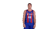 Vamos Lets Go Sticker by ACB