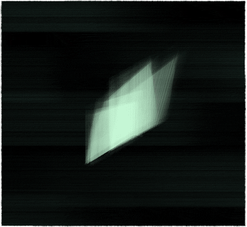 loop butterfly GIF by Daryl Alexsy
