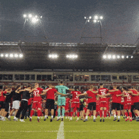 Football Rts GIF by Widzew Łódź