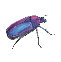 cubew3 cubie cubew3 Sticker