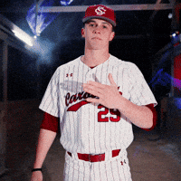 Home Run Celebration GIF by Gamecock Athletics