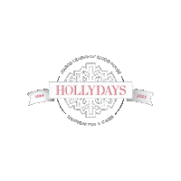 Hollydays Sticker by Juniorleaguebr