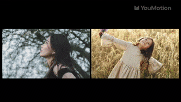 Nature Tree Transition | Video |You Motion