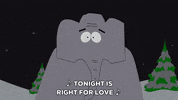 night dark GIF by South Park 