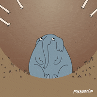 animation domination fox GIF by gifnews