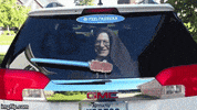 wipertags bernie jedi saber sanders GIF