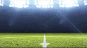 Football Soccer GIF by FC Rosengard