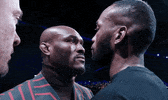 Kamaru Usman Fight GIF by UFC