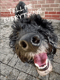 Sniffing Close Up GIF
