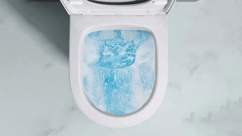 DurovinBathrooms giphyupload toilet bathroom flush GIF