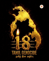 Tamil Nadu Tiger GIF