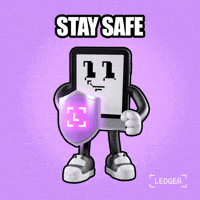 Crypto Stay Safe GIF by Ledger