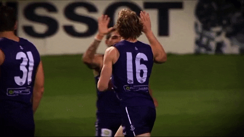 freodockers giphyupload fremantle dockers freo GIF