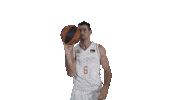 Real Madrid Basketball Sticker by ACB