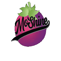 party lets go turn up nelly moonshine Sticker