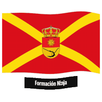 La Victoria Bandera Sticker by Formación Ninja