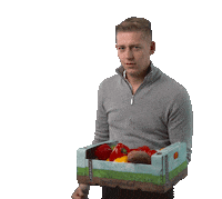 BEFreshhProduce fruit rick apples export Sticker