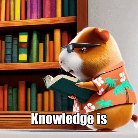 Wisdom Library GIF by Guinea Gambino
