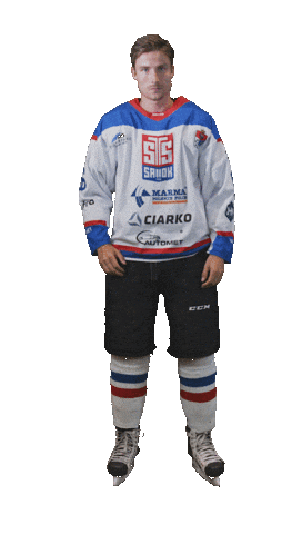 Hockey Player Sticker by STS Sanok