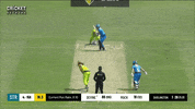 Devine GIF by Adelaide Strikers