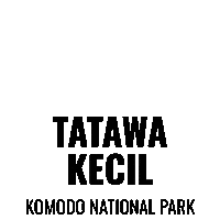 Tatawa Sticker by Dragon Dive Komodo