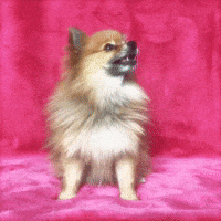 Have a wonderful day