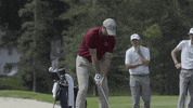 Golf Drive GIF by Colgate Athletics