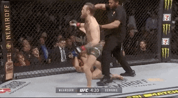 Sport Mma GIF by UFC