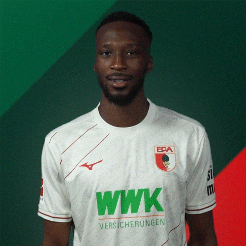 France Bundesliga GIF by FC Augsburg 1907