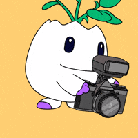 Awesome So Cool GIF by Magic Eden