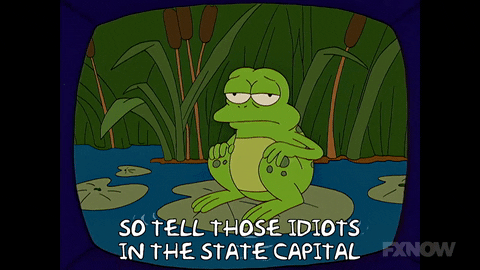 Episode 8 Frog In Pond GIF by The Simpsons