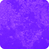 GIF by Club Space Miami