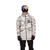 Ski Win Sticker by Red Bull