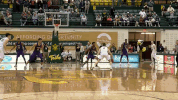 william and mary basketball marchontribe GIF