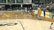 william and mary basketball marchontribe GIF