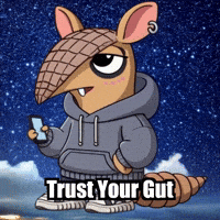 Trust Wisdom GIF by Chillo Dillo